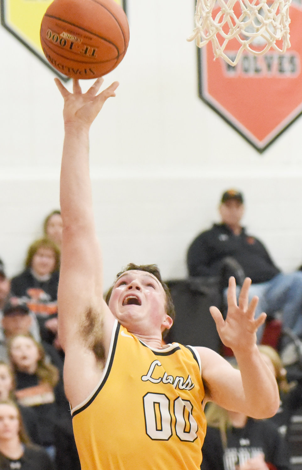 Cale Yoder takes a shot for Lone Tree in its district quarter-final game against Springville.