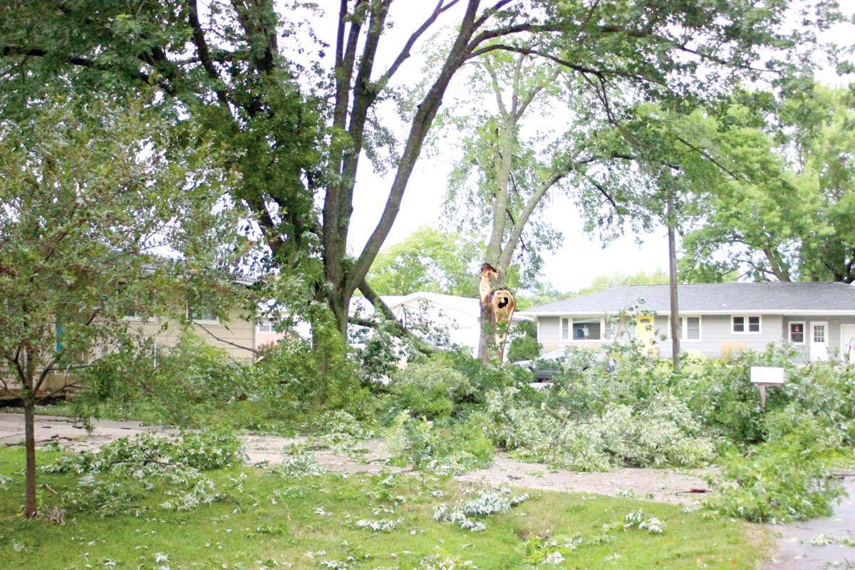 Monday’s storm wreaked havoc with the trees on this property in the 500 block of Eighth Street in Kalona.