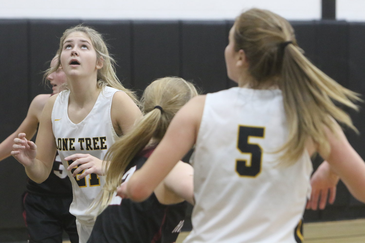 Lone Tree senior forward Kasey Chown (21) positions herself for a rebound in the Lions' 52-40 win over Hillcrest. Chown scored a career-high 23 points and had 11 rebounds for her second double-double in her last three games.