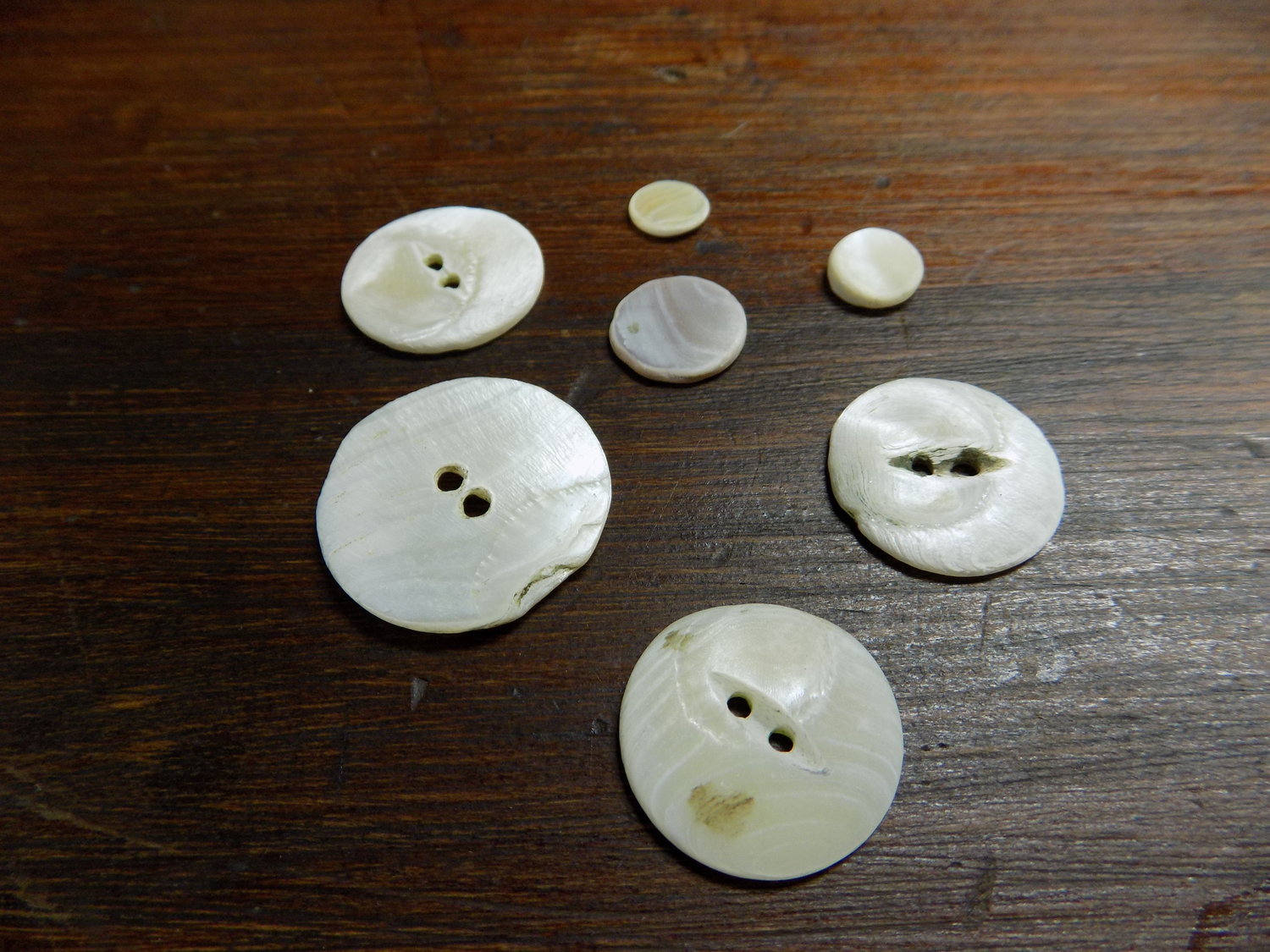 The birds could have chosen much larger buttons; these were representative of the buttons used as landscaping at the farm where the martins most likely found them.