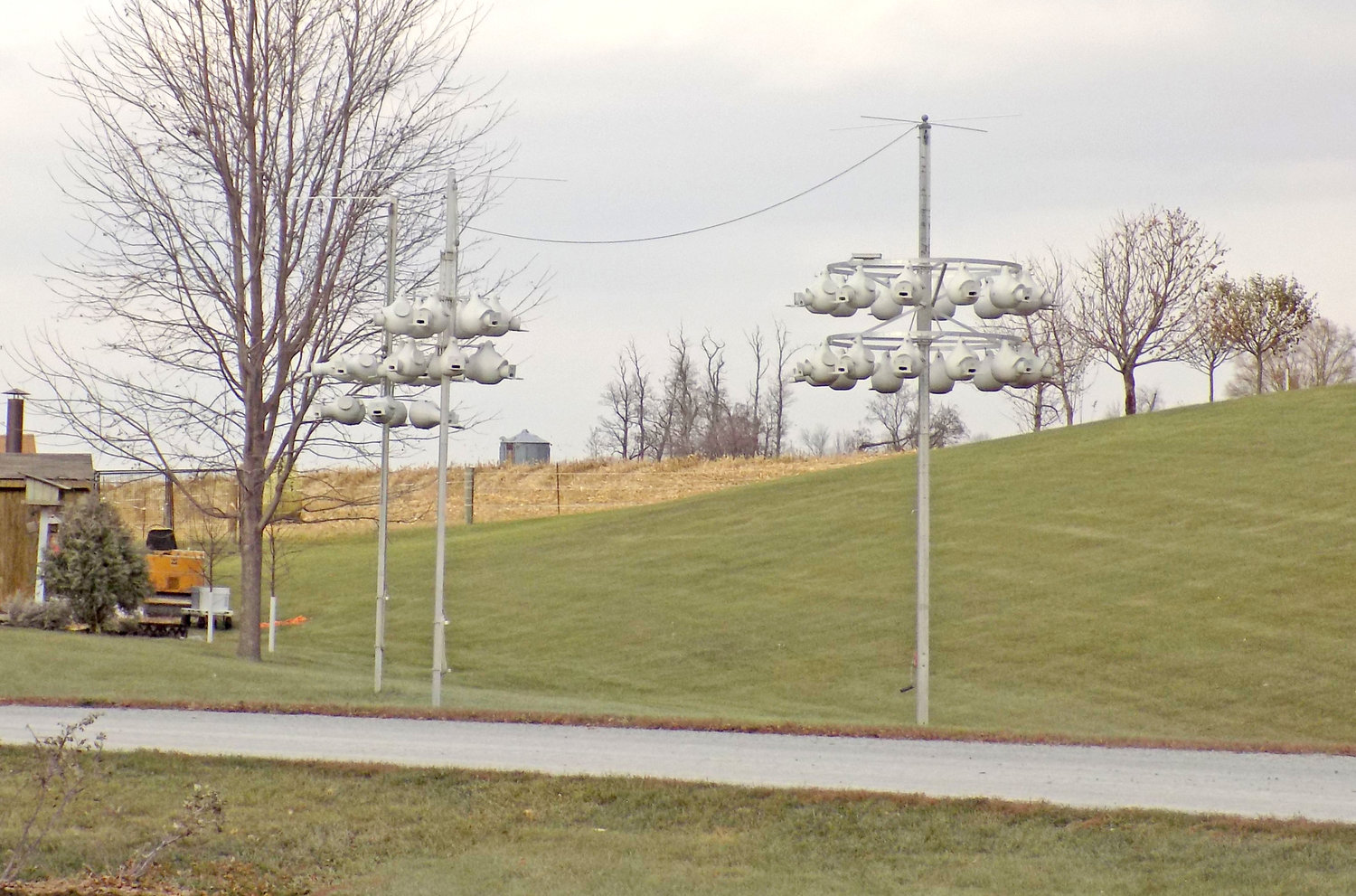 Purple martin houses at Evan’s Sales and Service in Kalona.  Evan Gingerich has one of the area’s most successful purple martin colonies.