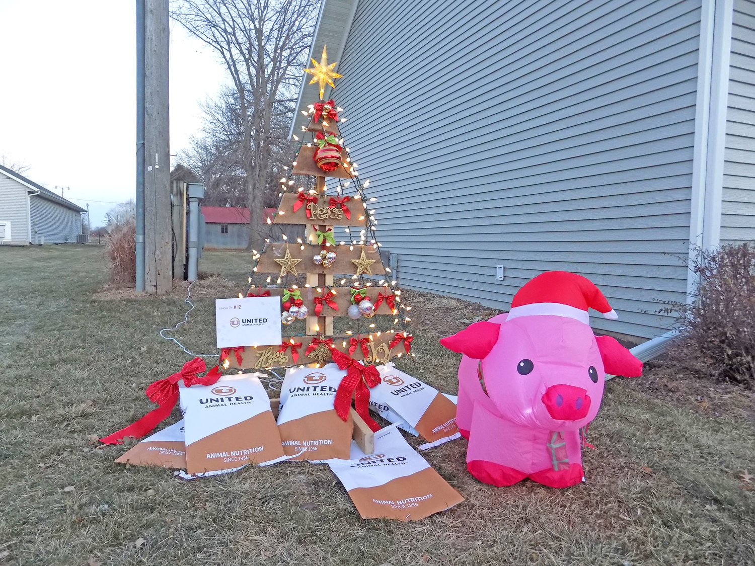 United Animal Heath’s Christmas tree at the Kalona Historical Village delighted with pig and feed.