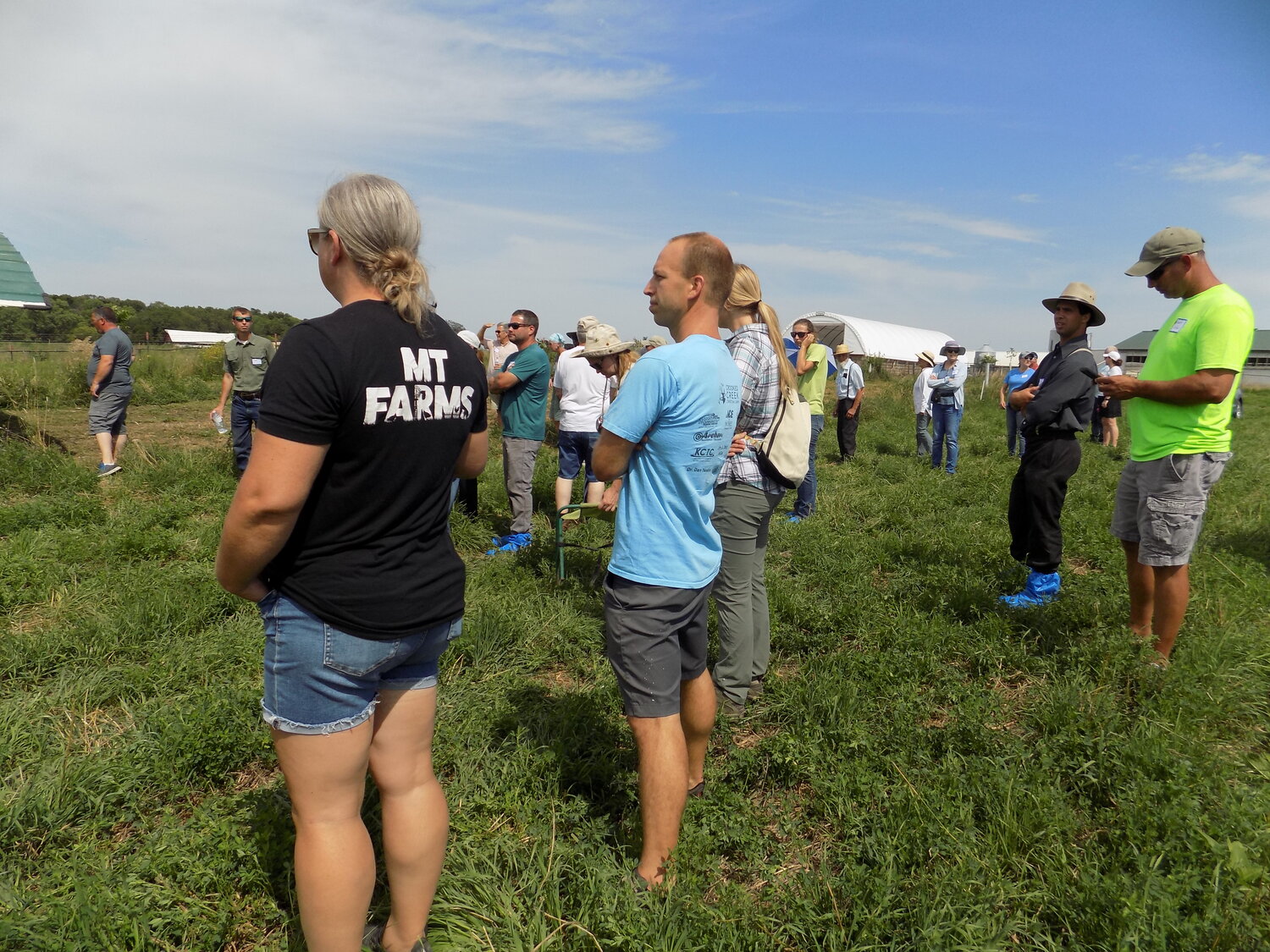 Dozens of farmers gathered in the Wilsons’ perennial pasture to learn about their pasture-based operation.